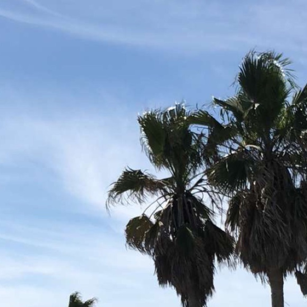 Meet your Posher, Liberty